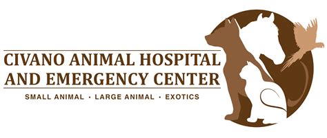 Civano animal hospital - Sep 1, 2022 · Civano Animal Hospital and Emergency Center can be found at the following address: Tucson, AZ 85747, 10425 E Drexel Rd. You can make a call to this place by dialing (520) 600—7100. For more, there is an official website: www.civanoanimalhospital.com. 